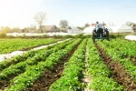 Bertani Organik Untuk Kehidupan Sehat Dan Kemandirian Pangan