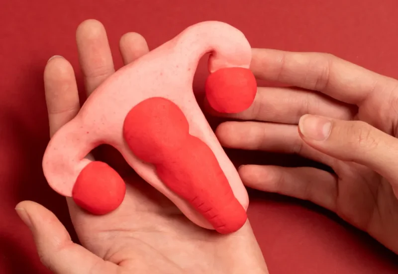 Keputihan Organ Intim Setelah Waxing Perlu Di Waspadai