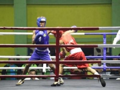 Cabang Olahraga Tinju Yang Sedang Viral