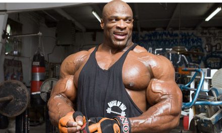 Binaragawan Atau Body Builder Olahraga Angkat Beban