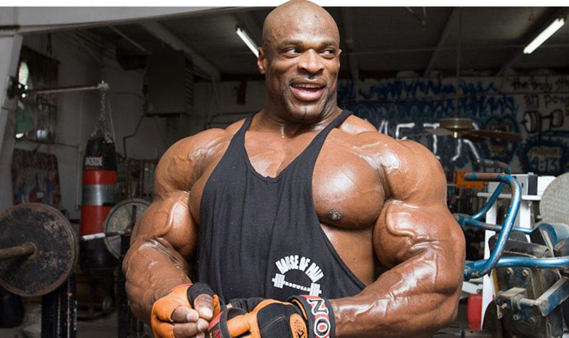 Binaragawan Atau Body Builder Olahraga Angkat Beban