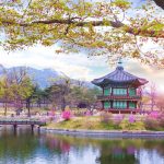 Keindahan Empat Musim Termasuk Musim Semi