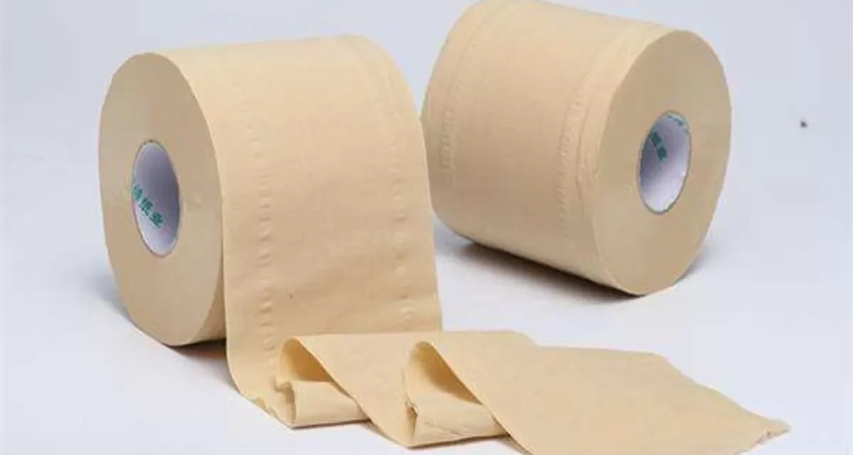 Tisu Bambu: Benaran Ramah Lingkungan?