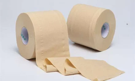 Tisu Bambu: Benaran Ramah Lingkungan?