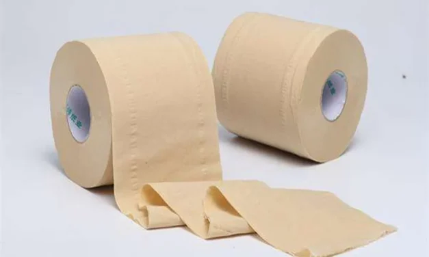 Tisu Bambu: Benaran Ramah Lingkungan?