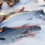 Bocoran Dari Chef: Cara Simpan Ikan Biar Awet Segar