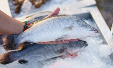 Bocoran Dari Chef: Cara Simpan Ikan Biar Awet Segar