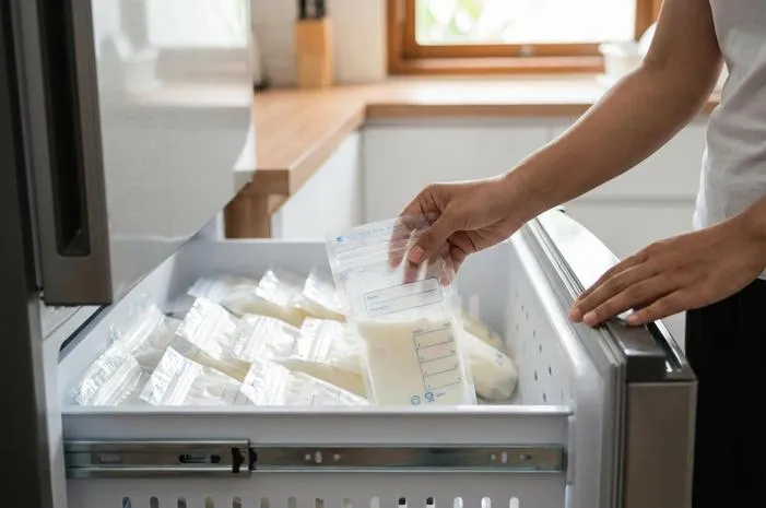 Trik Stok ASI Di Freezer Kulkas, Aman Dan Awet!