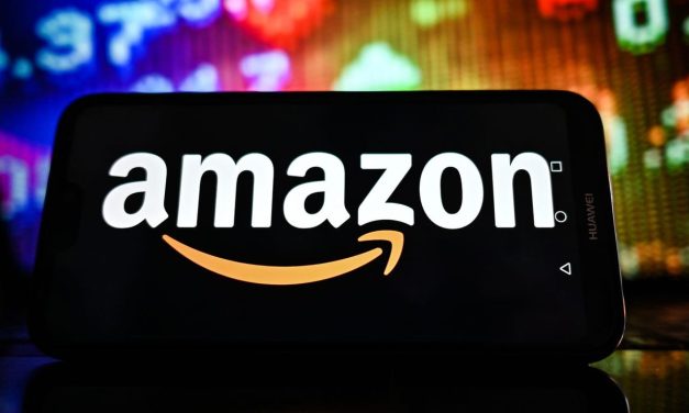 Intip Fitur Unggulan Layanan Kredit Karbon Amazon