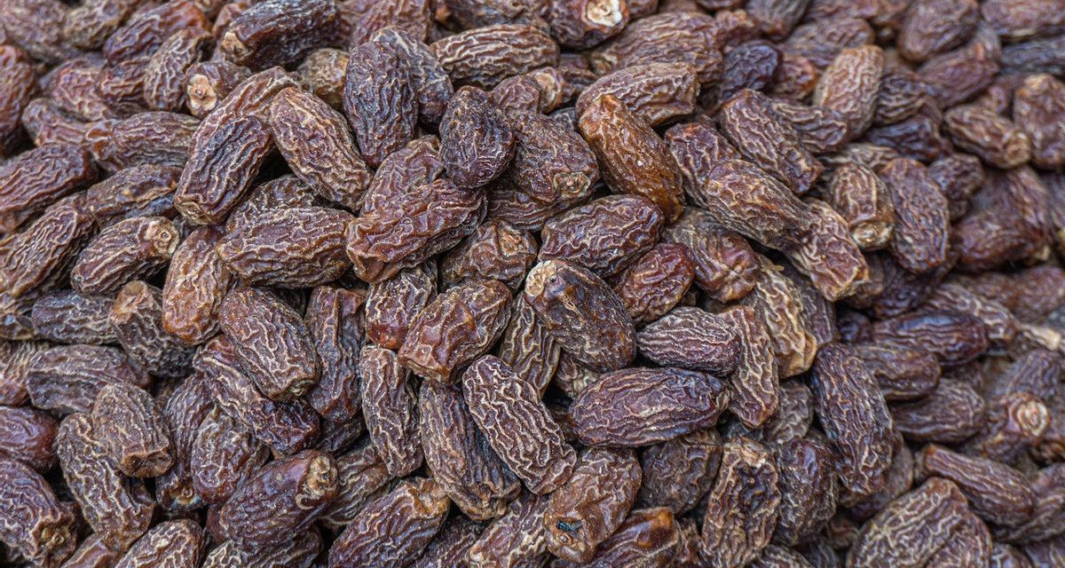3 Ciri Kurma Sudah Kedaluwarsa