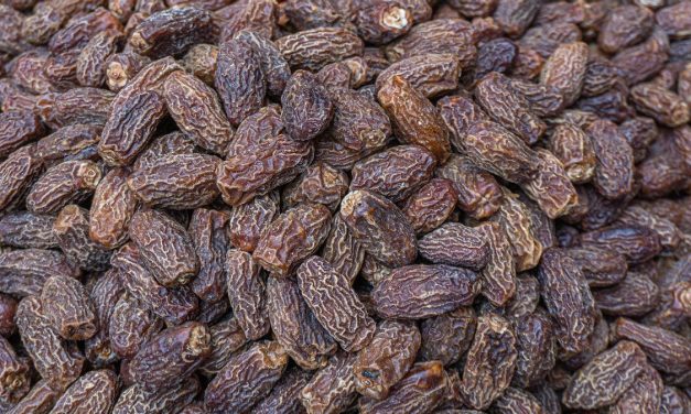 3 Ciri Kurma Sudah Kedaluwarsa